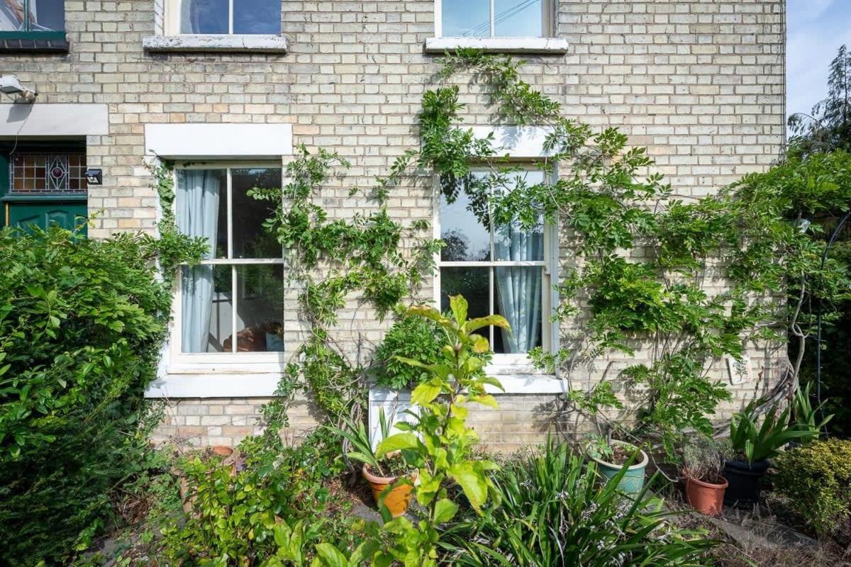 Peaceful Oasis 3 Beds House With Garden And Parking * Cambridge (Cambridgeshire)